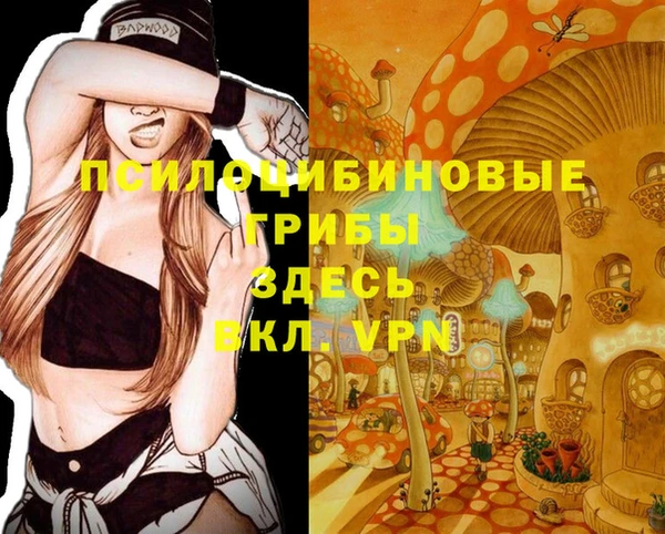 хмурый Снежногорск