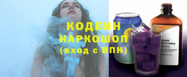 хмурый Снежногорск