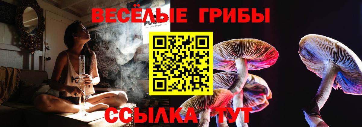 Псилоцибиновые грибы GOLDEN TEACHER  Псилоцибиновые грибы Magic Shrooms  Бугуруслан  Вход с VPN 