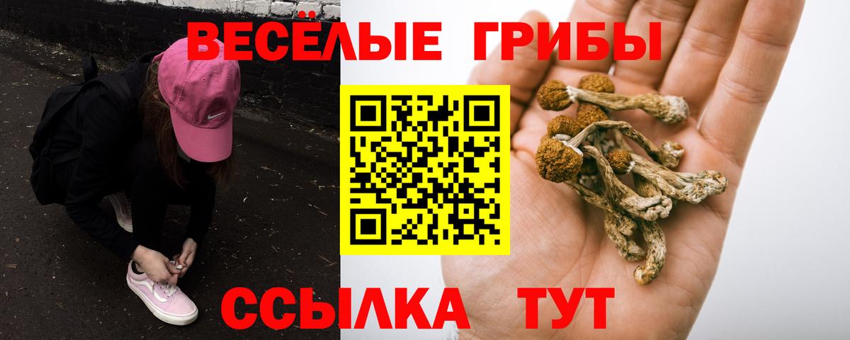 Галлюциногенные грибы мицелий Бугуруслан